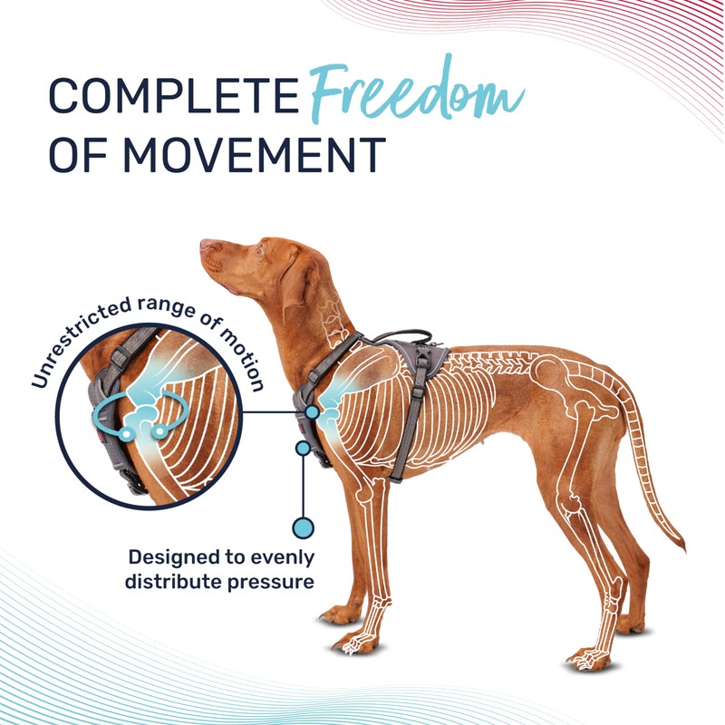 HALTI Anatomy Dog Harness with Handle - Provides Your Dog