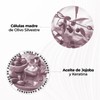 Tonsoria Tratamiento Capilar Sin Enjuague Intensive Care | Leave-In con