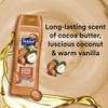 Suave Moisturizing Body Wash, Cocoa Butter and Shea with Vitamin