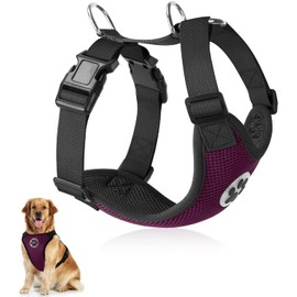 SlowTon Dog Harness for Dogs, No Pull Safety Harness, Small and Medium Dogs, Chest Harness, Soft, Padded, Breathable
