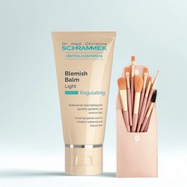 Dr. Schrammeck BB Light 8 Type Brushes 40ml, No. 20~21, 1 pc. / 닥터슈라멕 BB 라이트 8종브러쉬 40ml, 20~21호, 1개