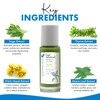 Blue Beautifly Sage Natural Deodorant for Women & Men -