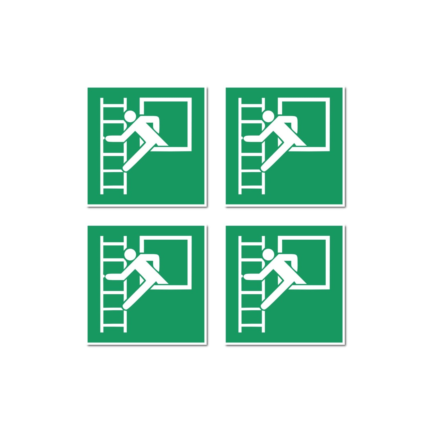 Emergency Exit with Escape Ladder, Rescue Sign: E016 - DIN EN ISO 7010 ...
