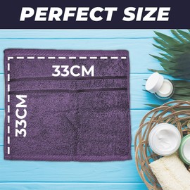 Towelogy® Fast Drying Flannel Face Cloth 100% Cotton Super Soft Premium Washcloths Facial Towels | OEKO-TEX Certified 33x33 cm (Eggplant, 2)