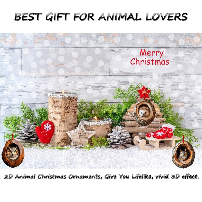 Racoon Owl Christmas Tree Decorations, 2D Raccoon Squirrel Ornament Pendant,