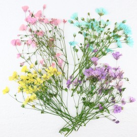 Princess-style Pressed Flower Kasumi Grass Nail Parts, Resin, Enclosed Material, Set of 4 Colors