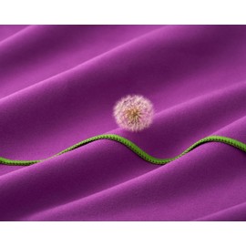 Fit-Flip Microfibre towel - compact, ultra lightweight & quick dry towel - the perfect gym, travel & beach towel - swimming towel for sports, camping & hiking (50x100cm pruple-green + bag)