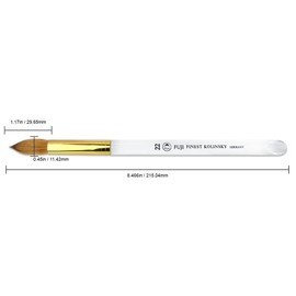 Professional 100% Kolinsky Hair Bristles Oval Style Acrylic Nail Brush with Clear Handle for Acrylic Manicure Powder (Size 22)