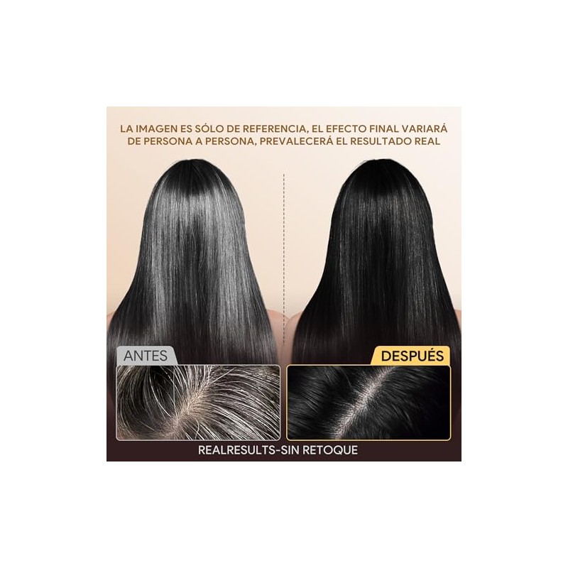 Black Hair Dye Shampoo 3 in 1, Shampoo para Canas