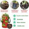 2-Pack Hanging Strawberry Grow Bags: Durable Planter Bags for Strawberries,