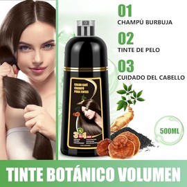 Shampoo para Canas, Hair Dye Shampoo 3 en 1 de Funciones de cuidado cabello, Shampoo con Tinte para Cubrir Canas con Cabello Extractos Jengibre Ginsen