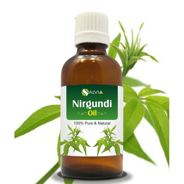 Nirgundi Oil (Vitex negundo) Therapeutic Essential Oil 100% Natural & Pure Undiluted Uncut Cold Pressed Aromatherapy Premium Oil Therapeutic Grade - 50 ML