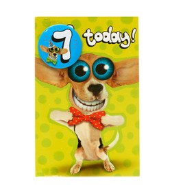 UK Greetings 7th Birthday Card for Boy - Funny Dog Design