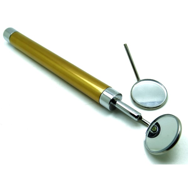 10× Dental Mirror Brown Handle with Bright Light Removable Mirrors