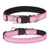 Reflective Dog Collars, Neoprene Padded Basic Durable Soft Nylon Puppy
