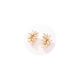 Champagne Rhinestone Stud Earrings Cute Small Crystal Cluster Earring for Women Wedding Party