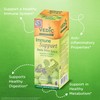 Vedic Amla Giloy Juice/Indian Gooseberry + Guduchi, 33.80 oz,1 liter