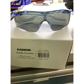 Radnor box of 12 64051265 Radnor blue frame gray anti-fog lens