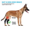Bawektrl Dog Leg Braces for Back Legs, Canine Hock Brace
