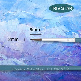 Tristar 202 Series Natural Pony Bristle School Brushes - Red (Pack of 10) No. 2 Green