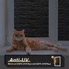 rabbitgoo Blackout Window Film, Sun Light Blocking Window Black Out