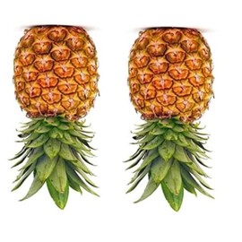 Upside Down Pineapple Pineapples x 2 Printed On To White Vinyl 5 x 3 Inches