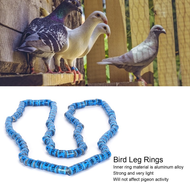 100pcs Pigeons Training Foot Rings Identify Numbered Blue Leg Bands