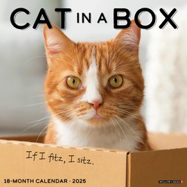 Willow Creek Press Cat in a Box Monthly 2025 Wall Calendar (12" x 12")