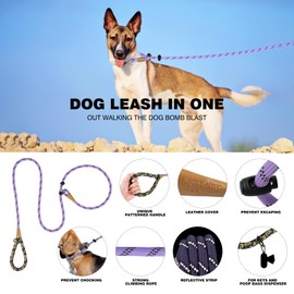 lynxking Slip Lead Dog Leash Reflective, 6 FT x 1/2" Heavy Duty Comfortable Strong Rope Leash for Large, Medium Dogs, No Pull Pet Training Leash (Light Purple, Small 3/8in x 6ft-Slip Lead)