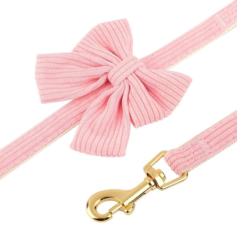 Didog Dog Collar and Leash Set with Bowtie, Girl Dog