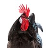 My Pet Chicken No-Crow Rooster Collar (XS): Reduce Loud Crowing