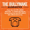 BULLYMAKE Nylon Game Controller Chew Toy For Dogs – Durable