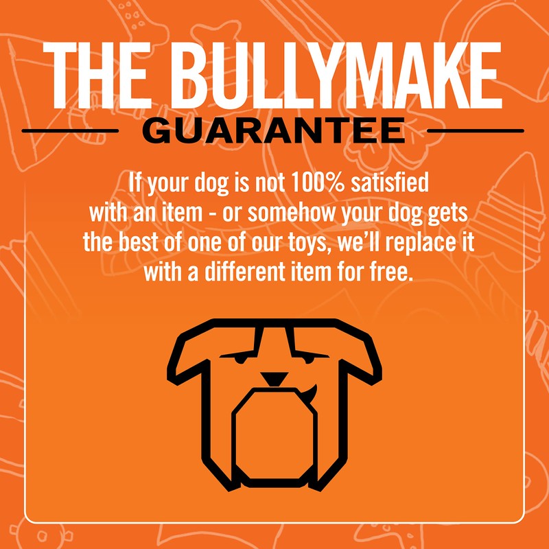 BULLYMAKE Nylon Game Controller Chew Toy For Dogs – Durable