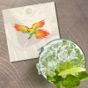 Unbranded Fantasy Parrot Animal 4'' X 4'' Square Wooden Coaster