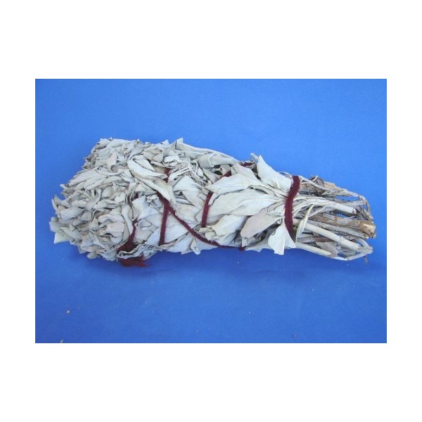 Big Bundle of California White Sage to Clean Environment for New Age Products (Approx 8" in length)