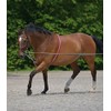 Equipride Lunging Aid Made on Soft Cotton Colour Red/Grey in