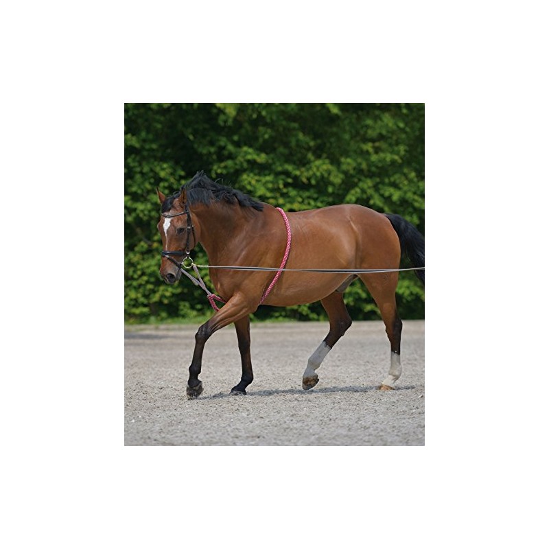 Equipride Lunging Aid Made on Soft Cotton Colour Red/Grey in