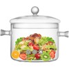 Glass Cooking Pots, 1.9L/64OZ Heat-Resistant Borosilicate Glass Saucepan with Cover,