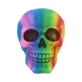 Nemesis Now Rainbow Skull 15.5 cm Polyresin, Multi-Colour, One Size