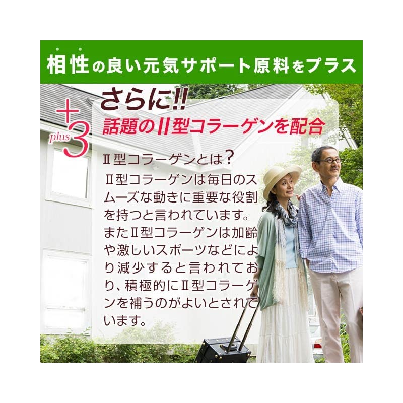 グルコサミン & コンドロイチン & コラーゲン (90粒/約1ヶ月分)