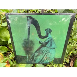 TV Girl – Grapes Upon The Vine (Wine Color Vinyl LP)