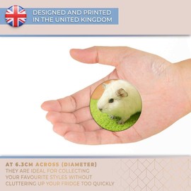 Destination Vinyl ltd Magnet for Refrigerator, Fridge - Cute White Guinea Pig Pet for Office, Cabinet and Whiteboard, Magnetic Stickers, 44816