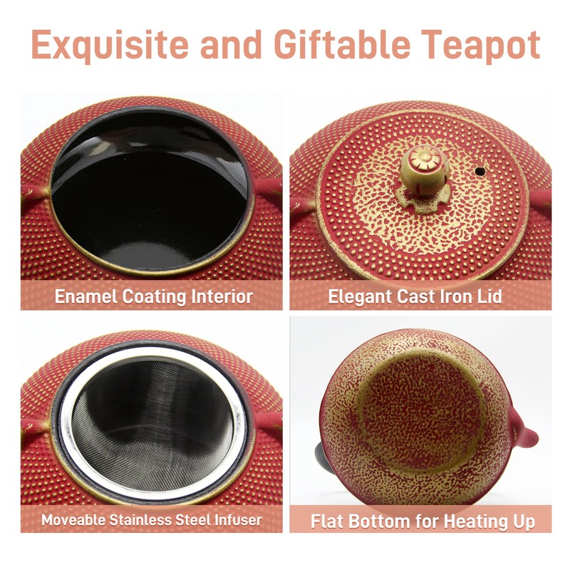 SECHUDO Cast Iron Teapot Tea Kettle with Stainless Steel Infuser