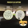 ASPECTEK Sticky Dome Flea Trap, Odorless Glue Trap with 2