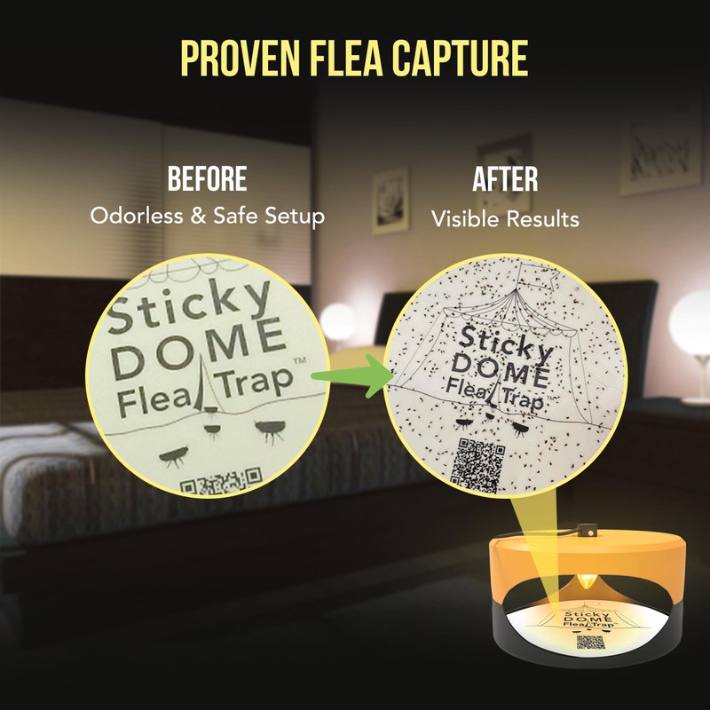 ASPECTEK Sticky Dome Flea Trap, Odorless Glue Trap with 2