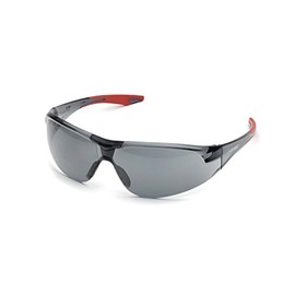 Delta Plus SG-18G Avion Safety Glasses, Grey Lens with Red Temple Tips, One Size