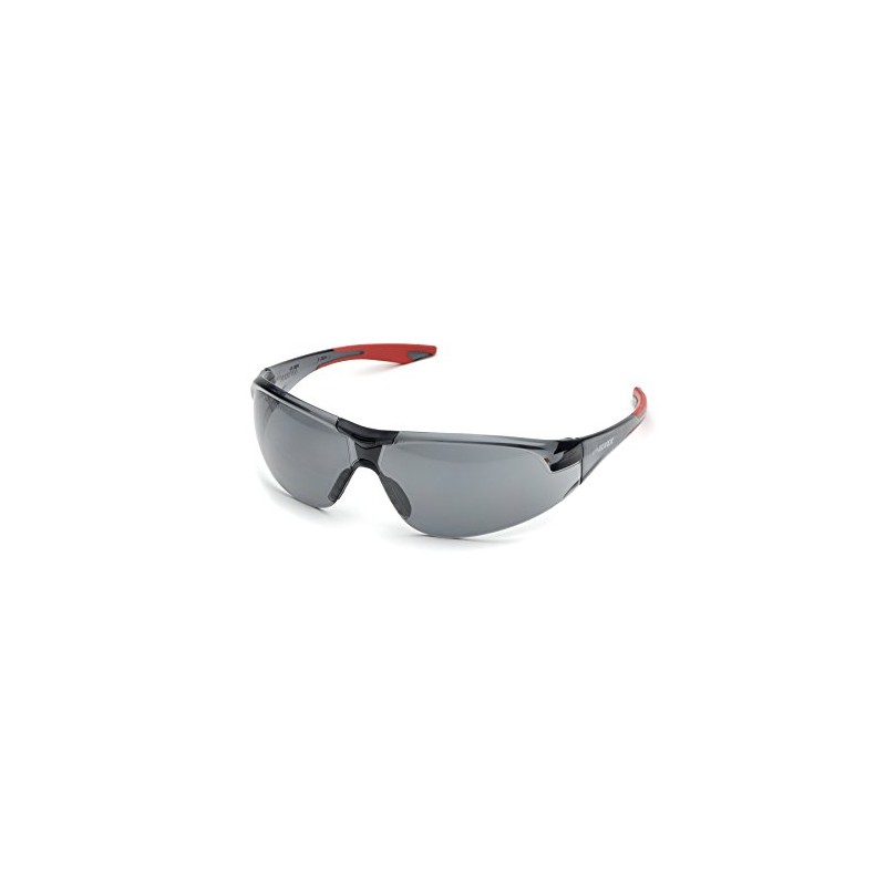 Delta Plus SG-18G Avion Safety Glasses, Grey Lens with Red
