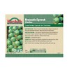 Unwins Brussels Sprout Clodius Seeds