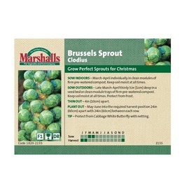 Unwins Brussels Sprout Clodius Seeds