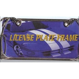 Palm Trees Chrome License Plate Frame Free Screw Caps Included